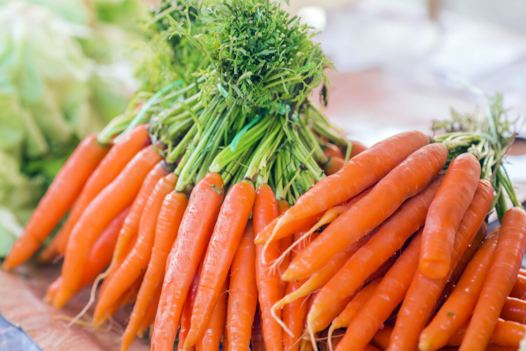 carrots fresh organic carrots fresh garden carrots bunch fresh organic carrots market
