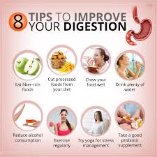 Does Chewing Food Well Help Digestion? 5 Eating Habits Improvement 4 images